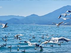 -丽江泸沽湖景区