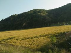 -南泥湾风景区