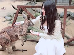 -可伦宾野生动物保护区