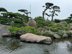 -罗红摄影艺术馆