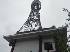 -金鸡山公园