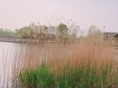 -永定河休闲森林公园