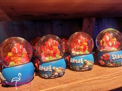 -沈阳海洋探索中心