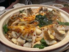 -滋粥楼·顺德菜(番禺广场总店)