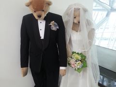 -济州岛泰迪熊博物馆