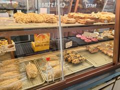 -多乐之日(公益西桥店)