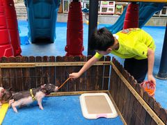 -上海崇明金茂凯悦酒店