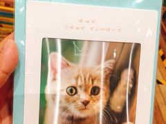 -猫的天空之城概念书店(印象城购物中心店)