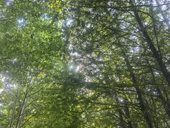 -滨湖塘西河公园