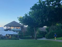 -渔家火锅·海鲜自助餐·演艺(亚龙湾天域酒店)