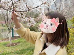 -堤角公园