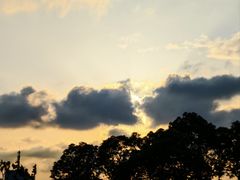 -春花秋色城市公园