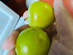 -呼吸森林·生态农庄农家乐私房菜