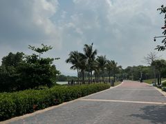-深圳湾公园(南山区)