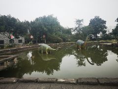 -自贡恐龙博物馆