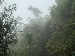 -海南热带雨林国家公园吊罗山景区