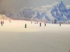 -哈尔滨热雪奇迹