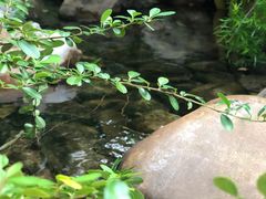 -昆明柏联SPA温泉