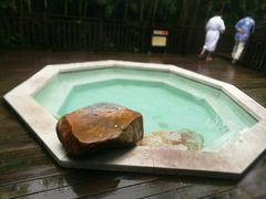 -天目湖涵田半山温泉