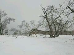 -雪谷