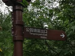 -大屏嶂森林公园