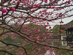 -兰亭风景区