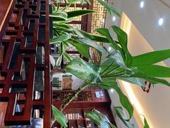 -墨脱石锅椰子鸡•香草鸭•东山羊(大东海店)