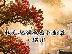 -塔川景区