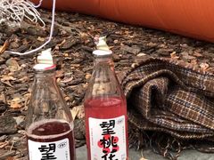 -钱王祠