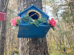 -五营红松林海景区