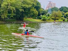 -晓港公园