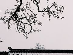 -水绘园