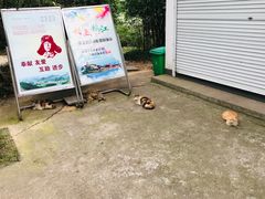-南山风景名胜区