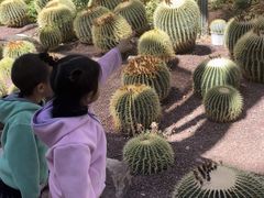 -亿利库布其七星湖沙漠生态旅游区