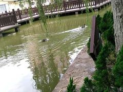 -西安市长乐公园