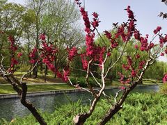 -元大都城垣遗址公园