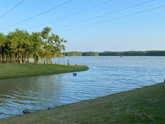 -上海海湾国家森林公园