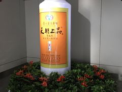 -贵阳龙洞堡国际机场-T2航站楼