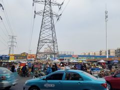 -中环花鸟鱼虫市场