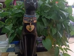 -芭比堂爱心动物医院(柯桥康爱分院)