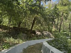 -沂蒙山旅游区云蒙景区(蒙山国家森林公园)