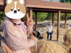 -库伦旗银沙湾旅游景区