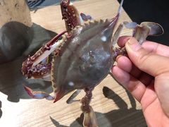 -星伦多自助料理(江阴万达店)