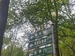 -紫金山山顶公园