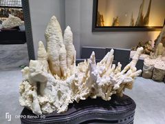 -游龙石文化科普馆
