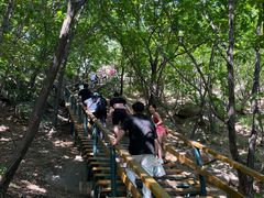 -吉林市朱雀山国家森林公园