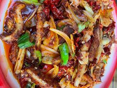 -柴窝堡22号辣子鸡·传承新疆菜