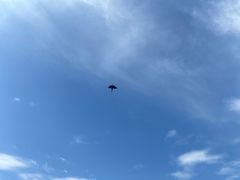 -日照世帆赛基地