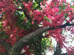 -天源吉布世温泉水乐园