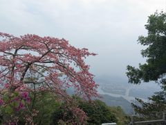 -风云岭森林公园